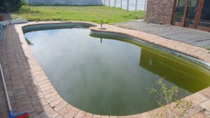 Algae Treatment - Before