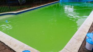 Green Pool - Before